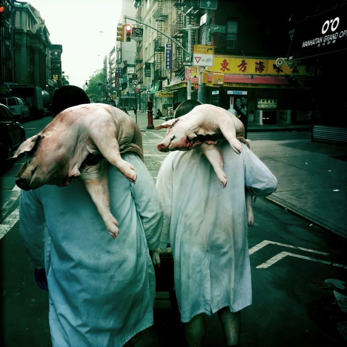 Dois homens carregando porcos mortos também podem ser um bom tema, dependendo do ponto de vista.