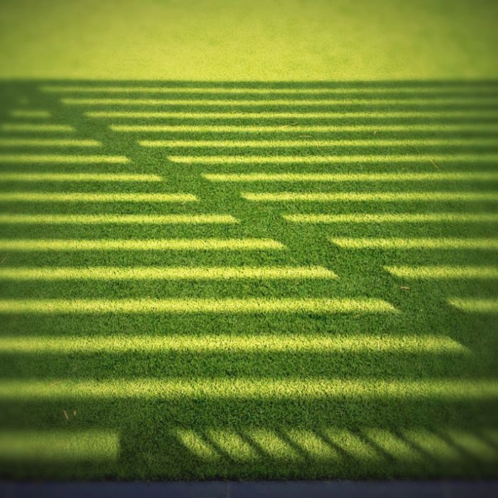 Um gramado, uma sombra e nada mais.