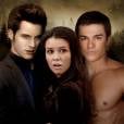 "Os Vampiros que se Mordam" brinca com o dilema de Bella e a escolha de seu amor: Edward ou Jacob.