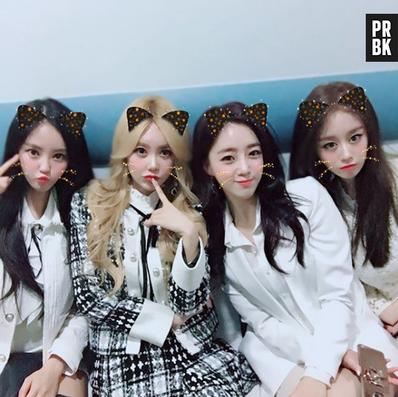 Grupo: T-ARA. Fandom: QUEEN'S.