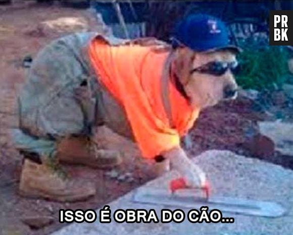 Isso só pode ser obra do cão!