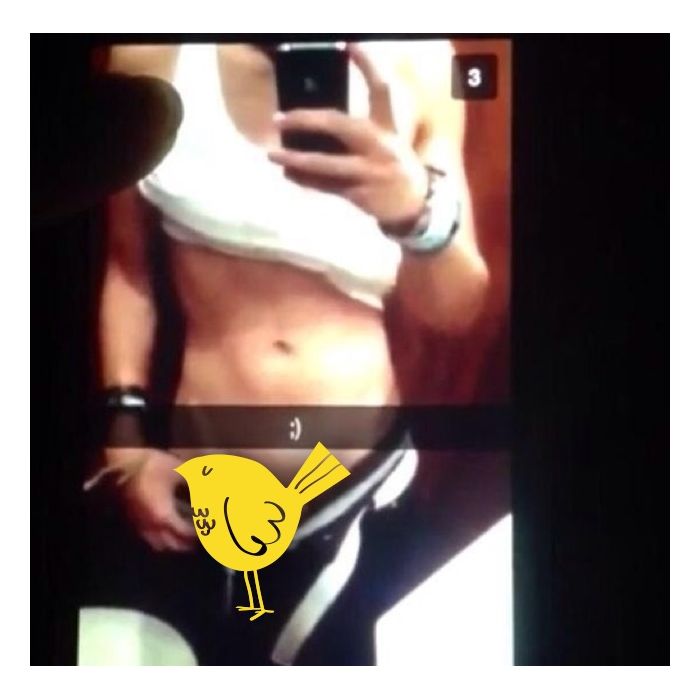 Calum Hood do 5 Seconds of Summer mandou foto nu pelo Snapchat