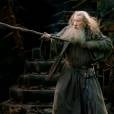  A barba e os cabelos brancos de Gandalf revelam o tamanho da experi&ecirc;ncia do mago 