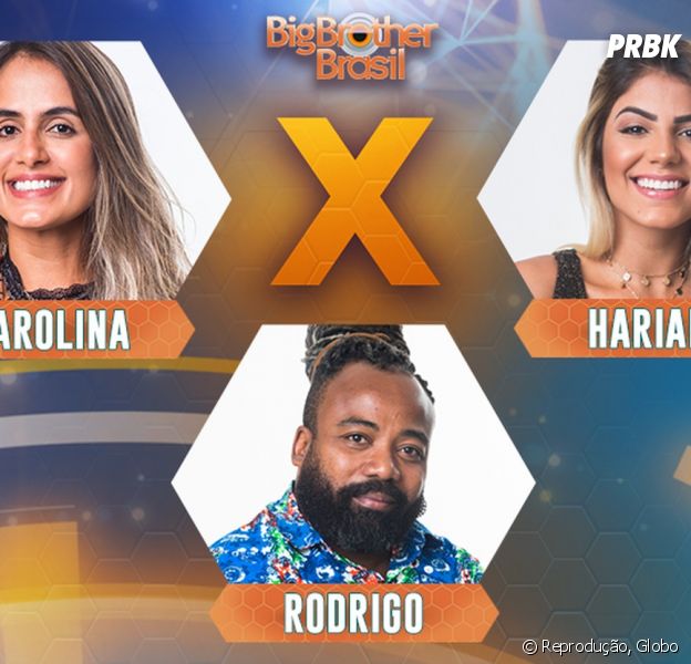 No "BBB19", Carolina, Hariany ou Rodrigo, quem deve ser eliminado? Vote na nossa enquete!