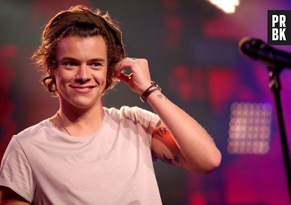 Harry Styles inspirou fan fiction erótica escrita por norte-americana