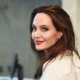  Angelina Jolie além de excelente atriz, é uma ótima pilota de avião 