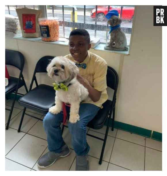 Menino faz sucesso com gravatas para cachorros e gatos abandonados