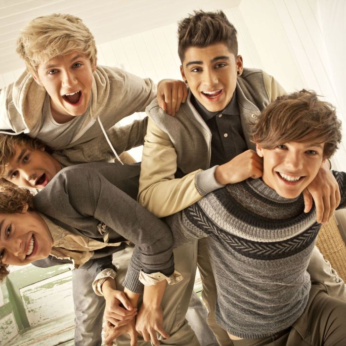 One Direction surgiu no dia 23 de julho de 2010, através do programa &quot;The X Factor UK&quot;