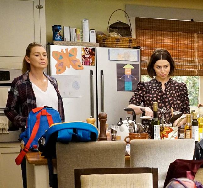 Grey S Anatomy 16ª Temporada Veja O Que Aconteceu No Primeiro Episodio Purebreak