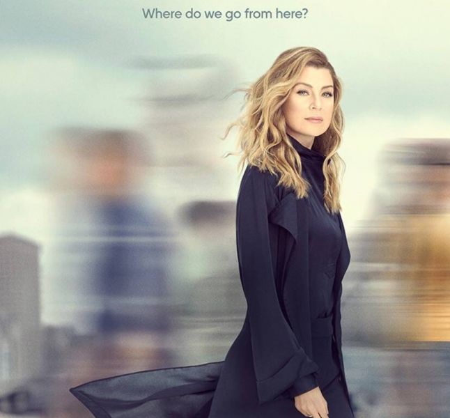 assistir greys anatomy 14 temporada