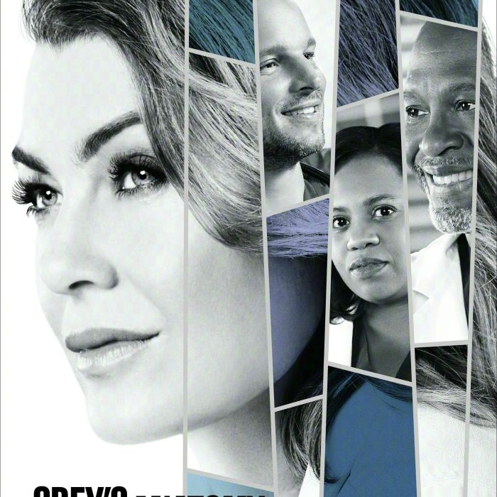 Nos Estados Unidos, a 16ª temporada &quot;Grey&#039;s Anatomy&quot; está em hiato e volta no dia 23 de janeiro de 2020