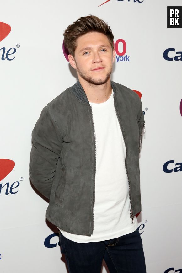 Em entrevista, Niall Horan diz que seria "estúpido" se o One Direction não voltasse