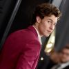 Shawn Mendes gosta muito de suas composições antigas