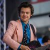 Harry Styles estará "Don't Worry Darling", novo thriller de Olivia Wilde, diz site