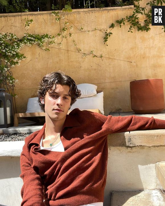 Shawn Mendes sofreu muita ansiedade por causa da pressão nas redes em relação ao seu namoro com Camila Cabello