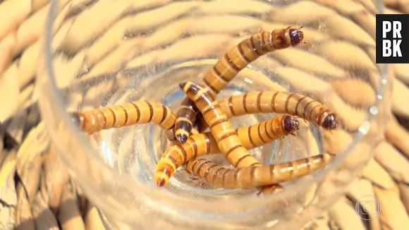 Em "No Limite", participantes tiveram que comer larvas