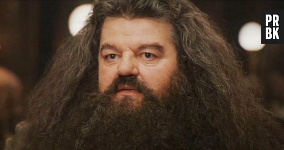 No teaser de "Harry Potter 20 Anos de Magia: De Volta a Hogwarts", vemos Robbie Coltrane (Hagrid), Matthew Lewis (Neville Longbottom) e Mark Williams (Arthur Weasley) recebendo a aguardada carta de Hogwarts, convocando-os para o especial 