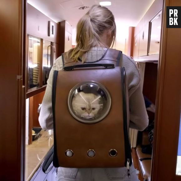 A mochila de Taylor Swift para carregar seus gatos fez sucesso em "Miss Americana", documentário da cantora para a Netflix