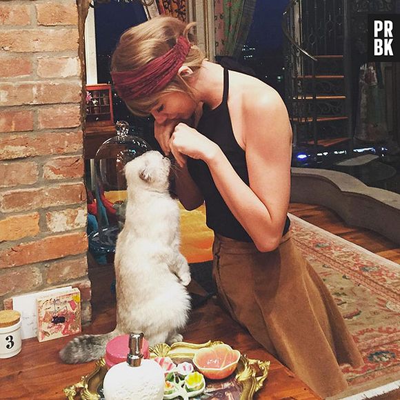 Meredith, Olivia e Benjamin: qual gato da Taylor Swift mais tem a ver com você? Descubra!