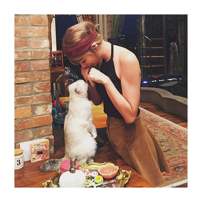 Meredith, Olivia e Benjamin: qual gato da Taylor Swift você seria? Faça o  quiz! - Purebreak