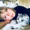 Meredith, Olivia e Benjamin: qual gato da Taylor Swift você seria? Faça o quiz!