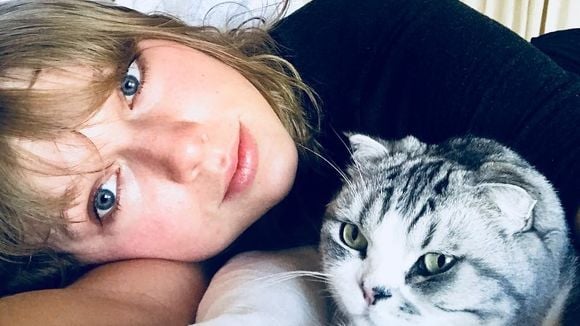 Meredith, Olivia e Benjamin: qual gato da Taylor Swift você seria? Faça o quiz!