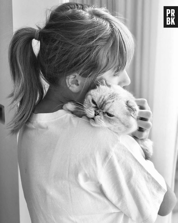 Meredith, Olivia e Benjamin, gatos da Taylor Swift, fazem sucesso entre os fãs