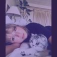 Meredith, Olivia e Benjamin: qual gato da Taylor Swift você seria? Faça o quiz!