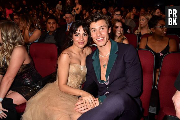 Separações dos famosos em 2021: Shawn Mendes e Camila Cabello anunciaram em um comunicado conjunto em novembro