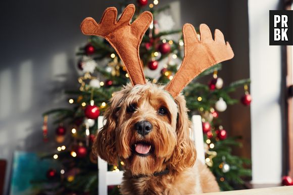 Além de ver filmes, o Natal é época de ficar perto das pessoas amadas