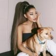 Ariana Grande gosta de ter seus pets por perto