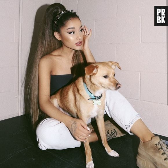 Ariana Grande gosta de ter seus pets por perto