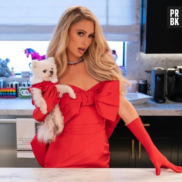 Quem não conhece os cachorros de Paris Hilton?