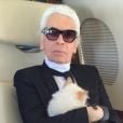 A gata do estilista   Karl Lagerfeld ganhou até herança   