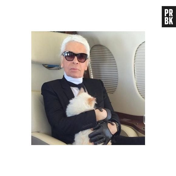 A gata do estilista Karl Lagerfeld ganhou até herança 