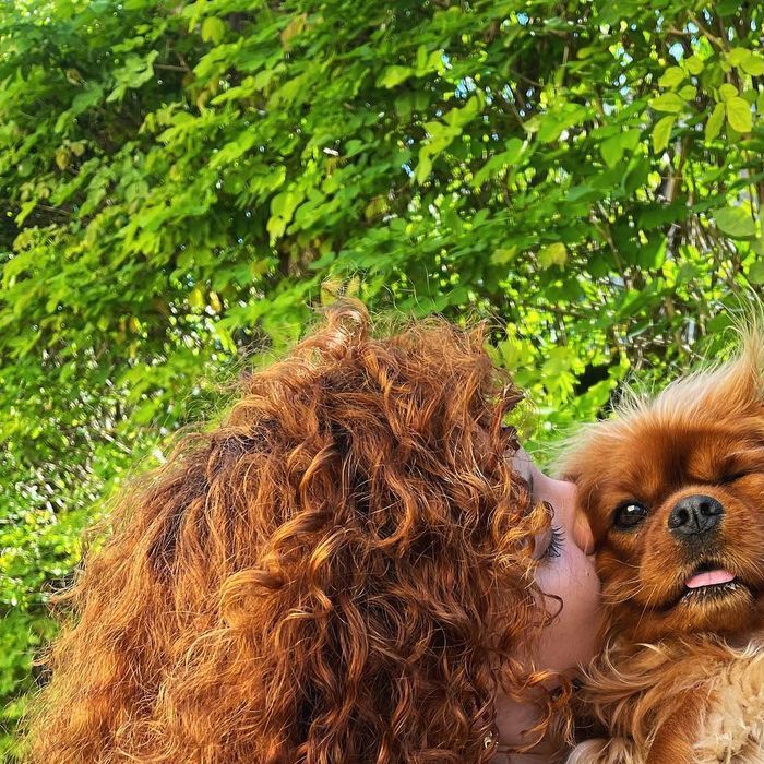 A influencer e escritora Bruna Vieira tem vários cachorros