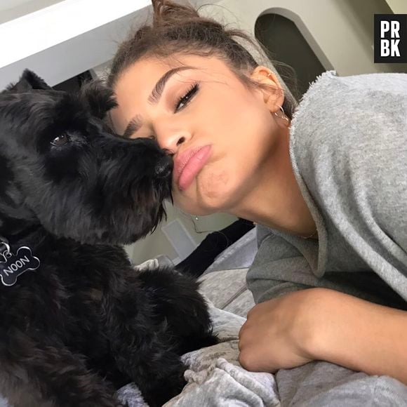 Zendaya e seu pet, Noon Colemann