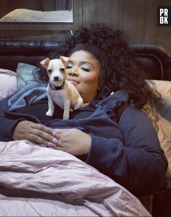 Lizzo também já adotou um cachorrinho