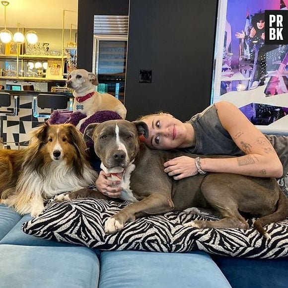 Miley Cyrus é outra artista que tem vários pets