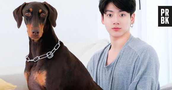 Jungkook, do BTS, surpreendeu os fãs com novo doguinho na 2ª temporada do "In The Soop"