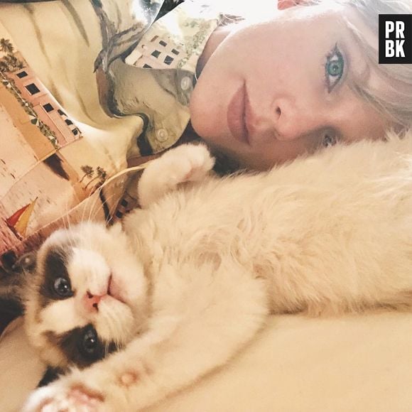 Como superar os gatinhos de Taylor Swift, Benjamin, Olivia e Meredith?