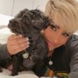 Demi Lovato já teve alguns pets ao longo da vida. Elu ama cachorros!