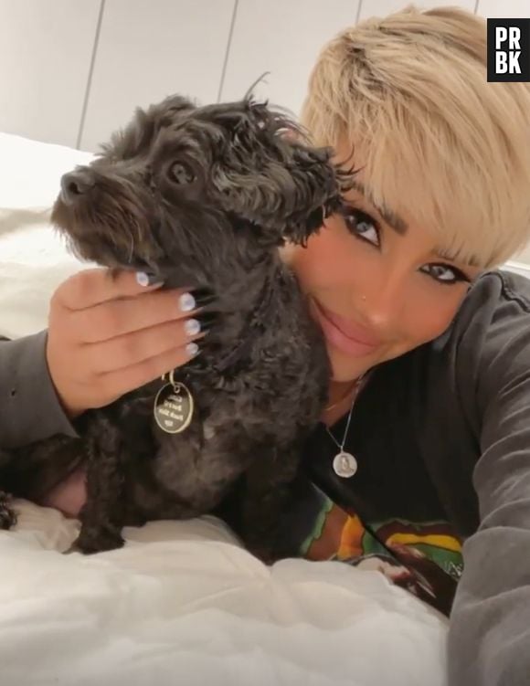 Demi Lovato já teve alguns pets ao longo da vida. Elu ama cachorros!