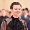 

Harry Styles cria grupo secreto no Discord e fãs enlouquecem com teorias

