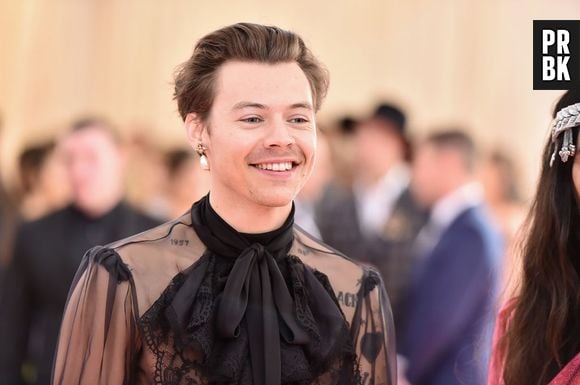 

Harry Styles cria grupo secreto no Discord e fãs enlouquecem com teorias

