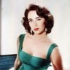 "Os Sete Maridos de Evelyn Hugo": há quem diga que Elizabeth Taylor inspirou a personagem principal