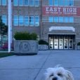 O pet de Vanessa Hudgens, de "High School Musical", também visitou o East High