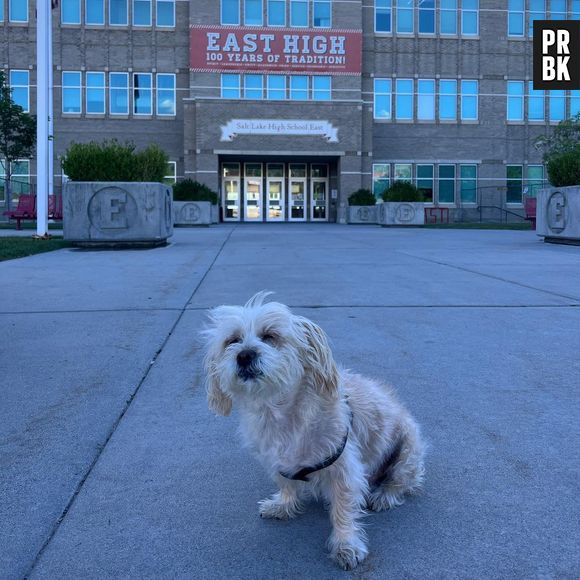 O pet de Vanessa Hudgens, de "High School Musical", também visitou o East High