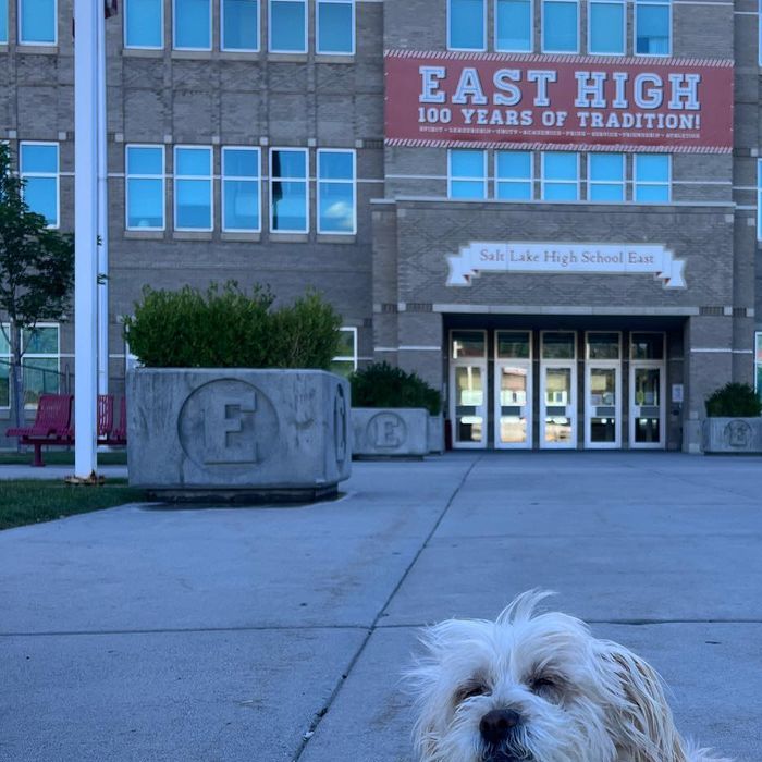 O pet de Vanessa Hudgens, de &quot;High School Musical&quot;, também visitou o East High