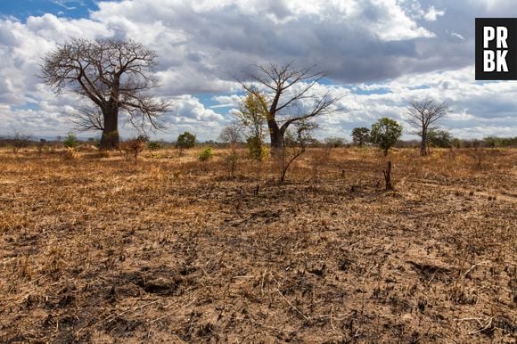 Por outro lado, certos países podem sofrer com a seca por causa do El Niño